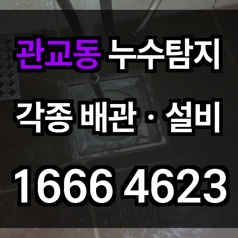 관교동 누수탐지