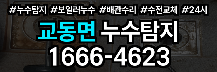 교동면 누수탐지