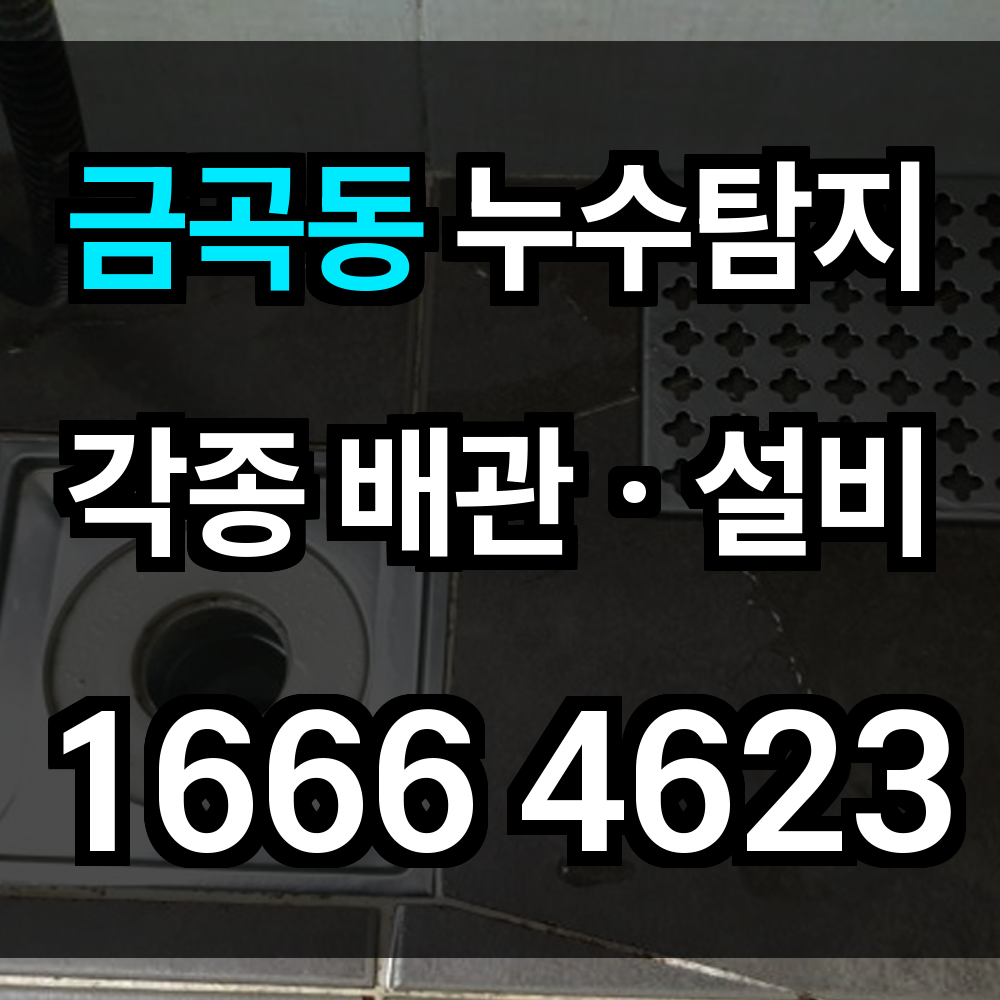 금곡동 누수탐지