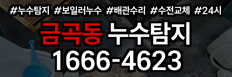 금곡동 누수탐지