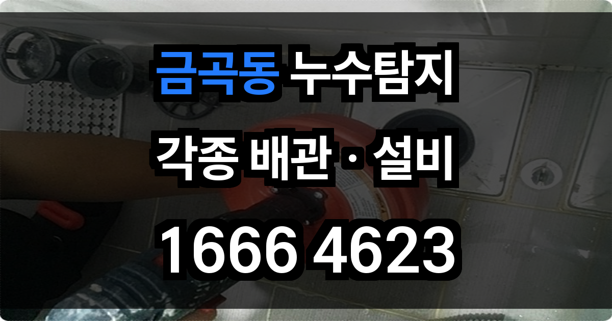 금곡동 누수탐지