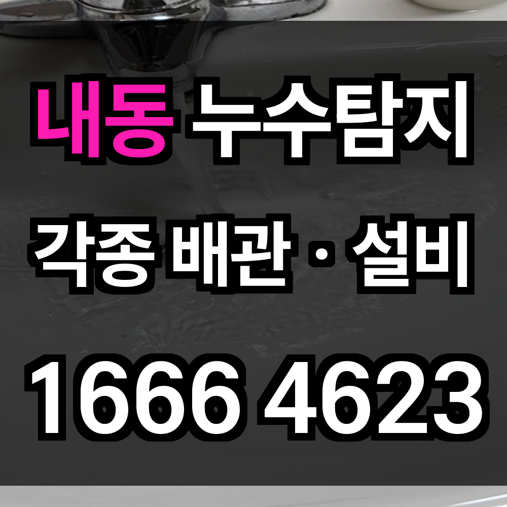 내동 누수탐지