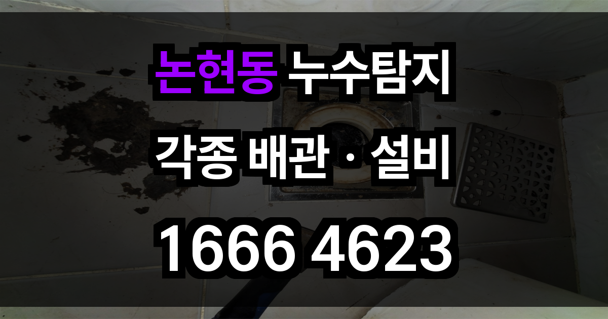 논현동 누수탐지