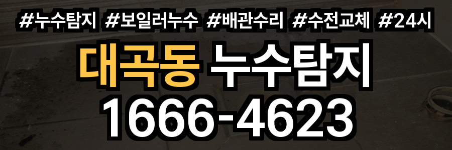 대곡동 누수탐지