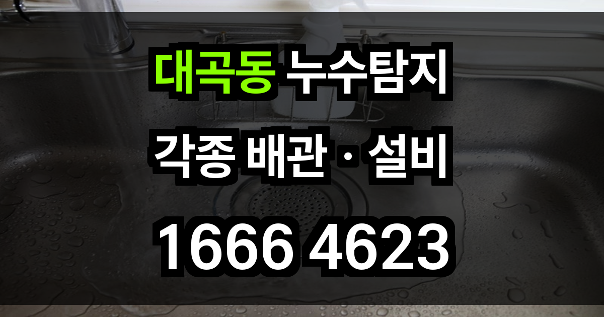대곡동 누수탐지