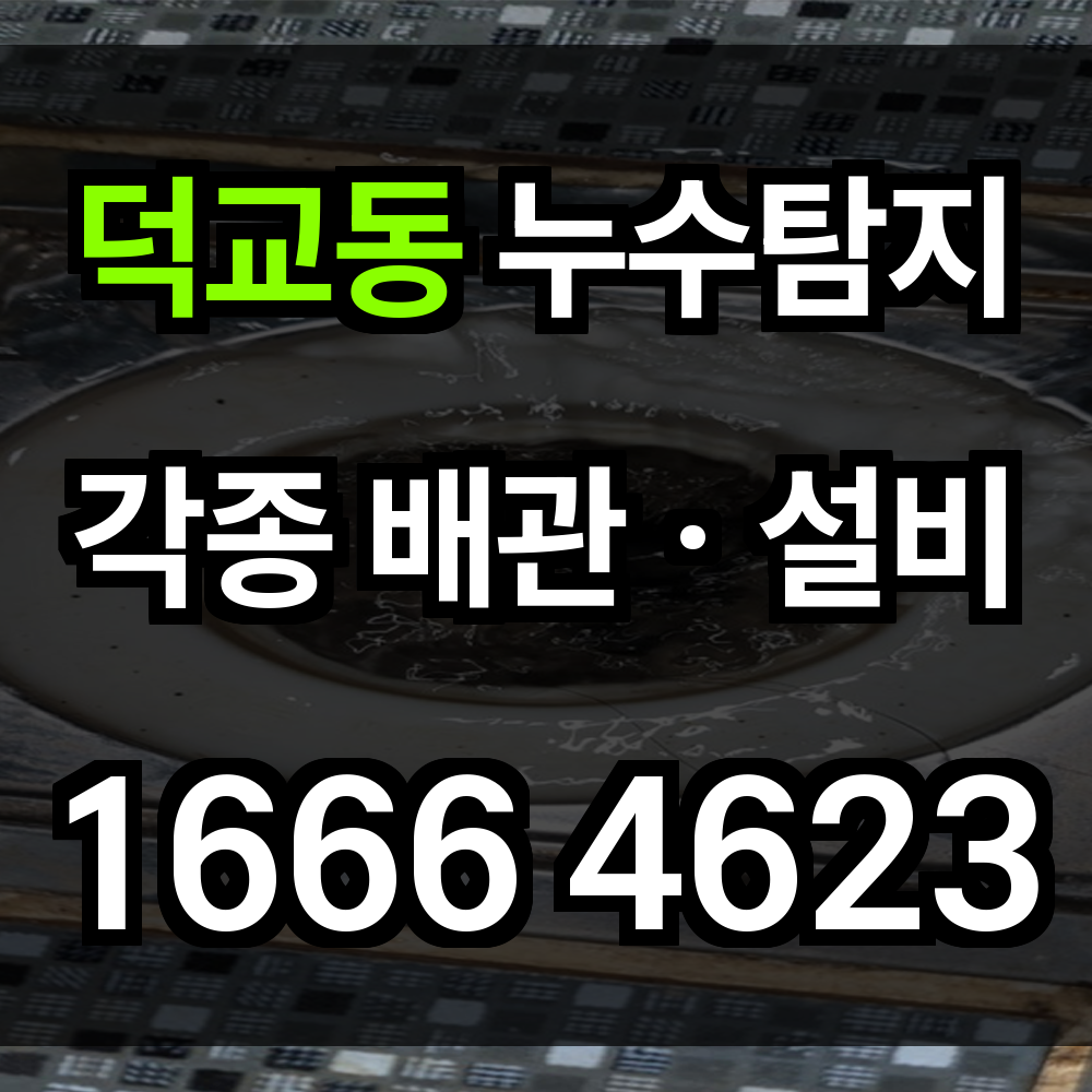 덕교동 누수탐지