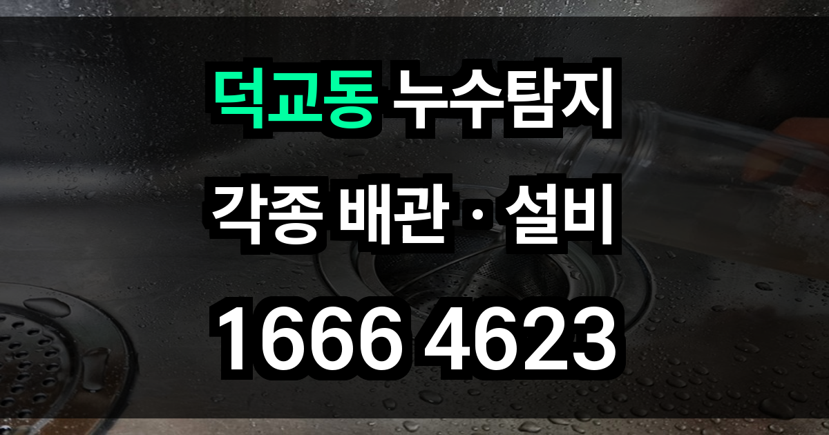 덕교동 누수탐지