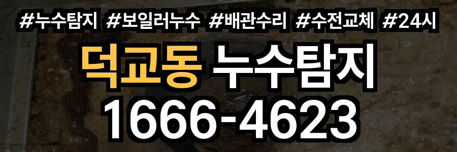 덕교동 누수탐지