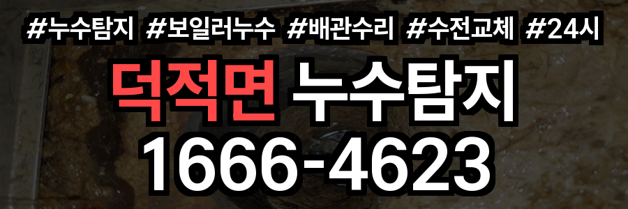 덕적면 누수탐지
