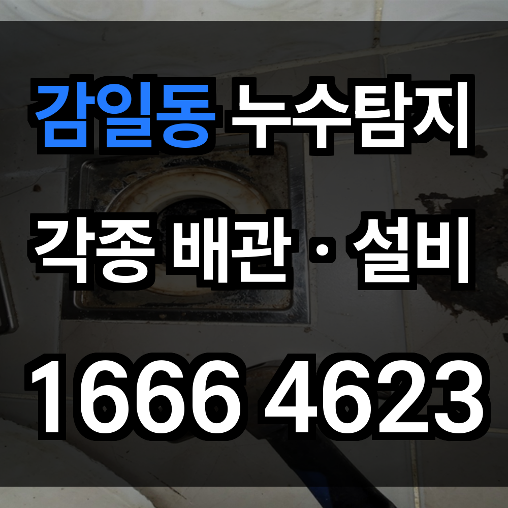 감일동 누수탐지