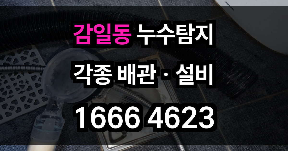 감일동 누수탐지