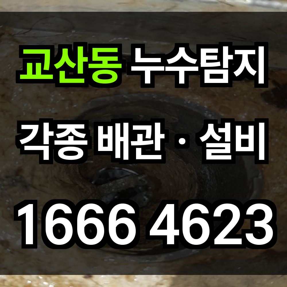 교산동 누수탐지