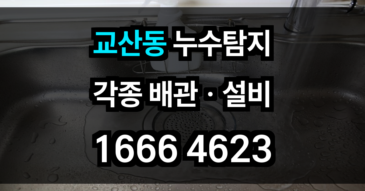 교산동 누수탐지