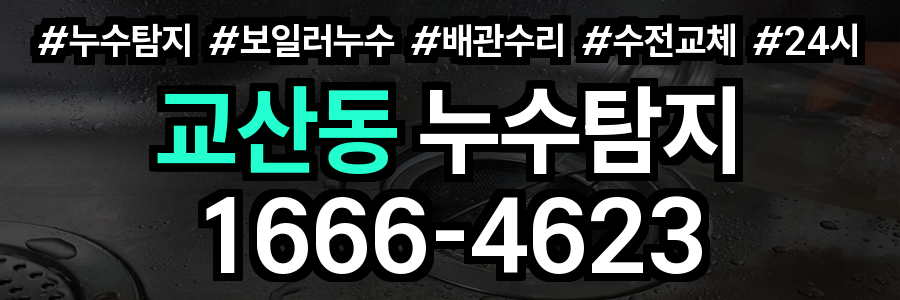 교산동 누수탐지