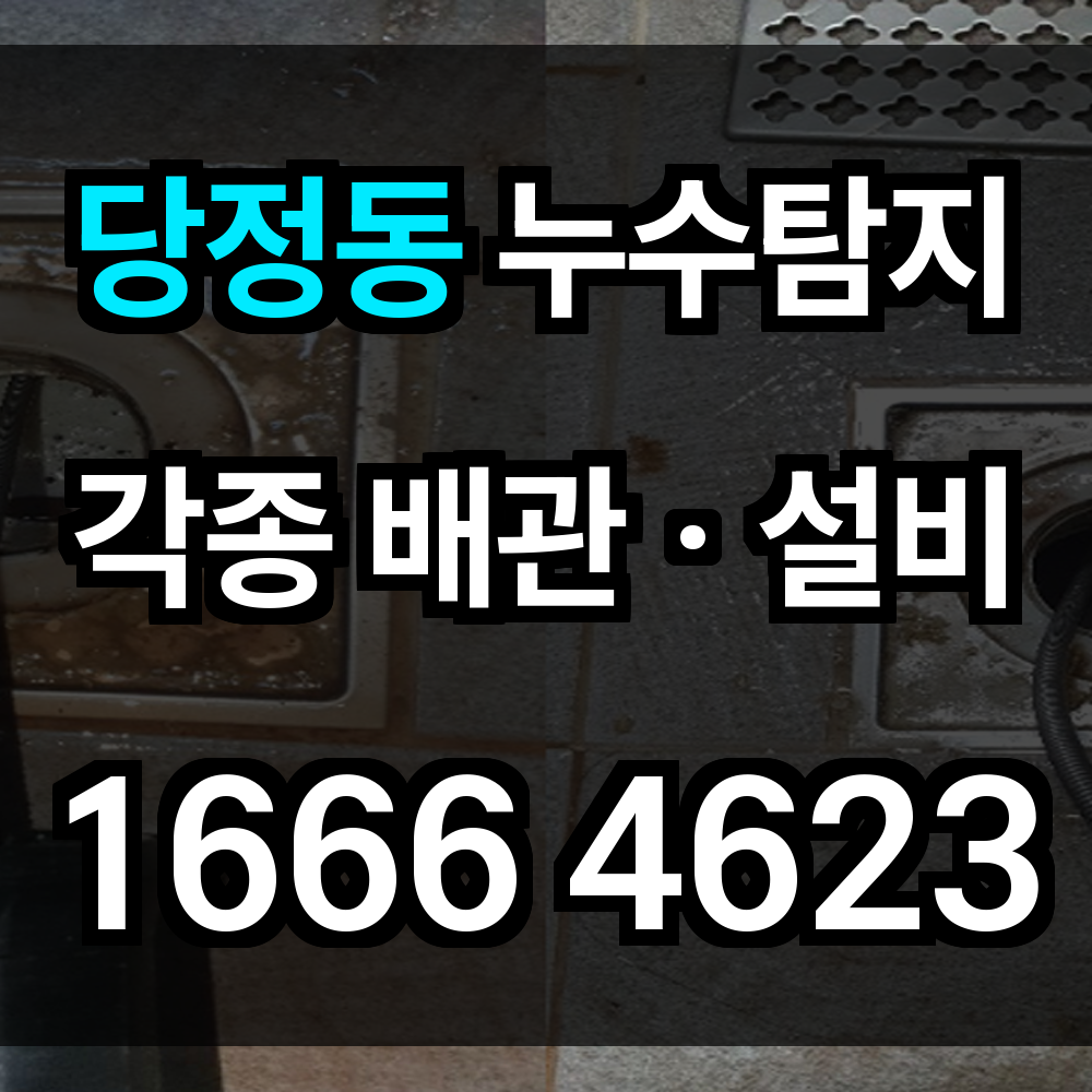 당정동 누수탐지
