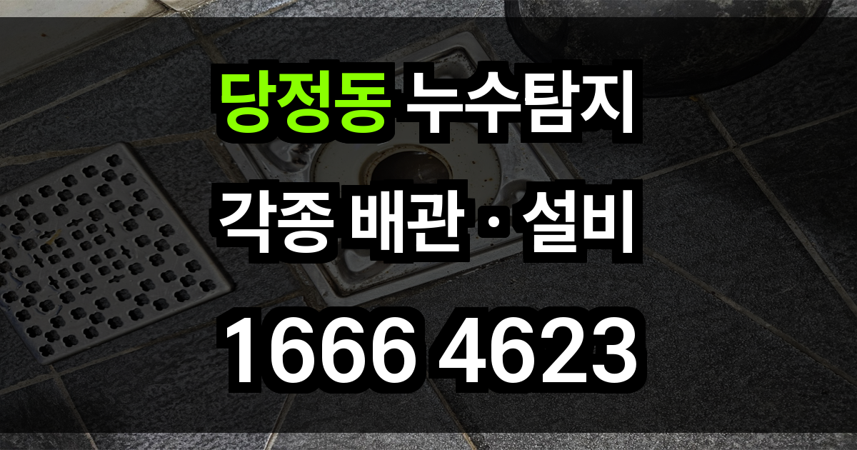당정동 누수탐지