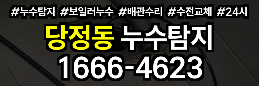 당정동 누수탐지