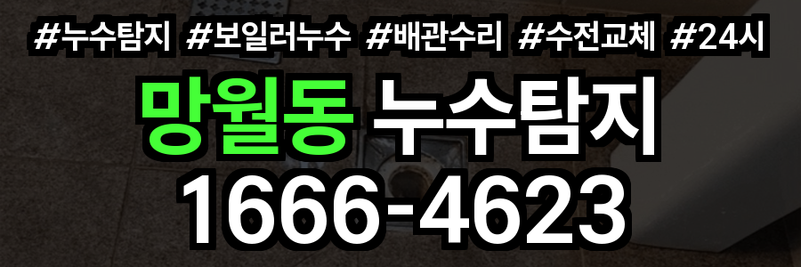 망월동 누수탐지