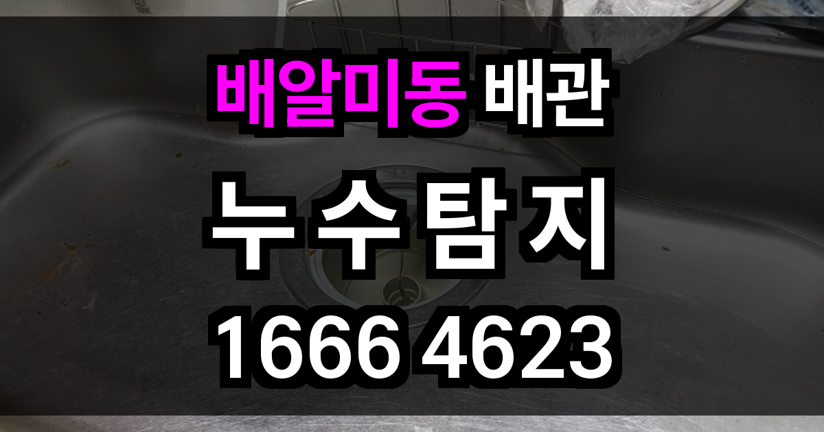 배알미동 누수탐지