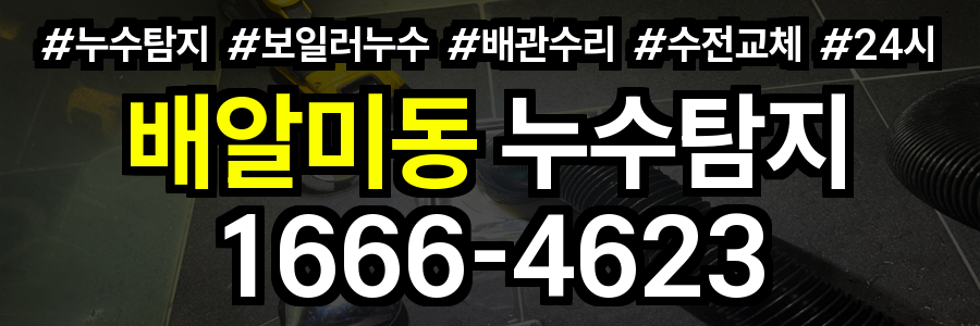배알미동 누수탐지