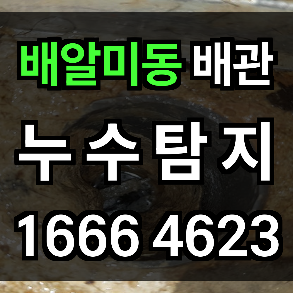 배알미동 누수탐지