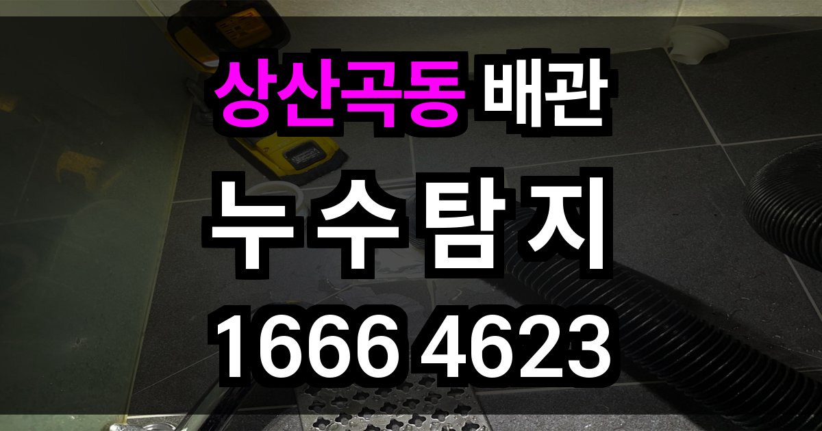 상산곡동 누수탐지