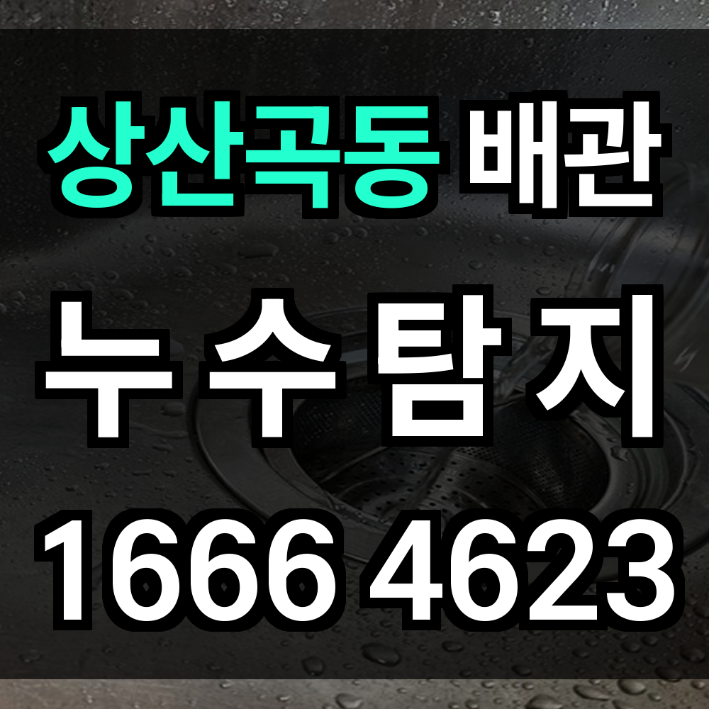 상산곡동 누수탐지