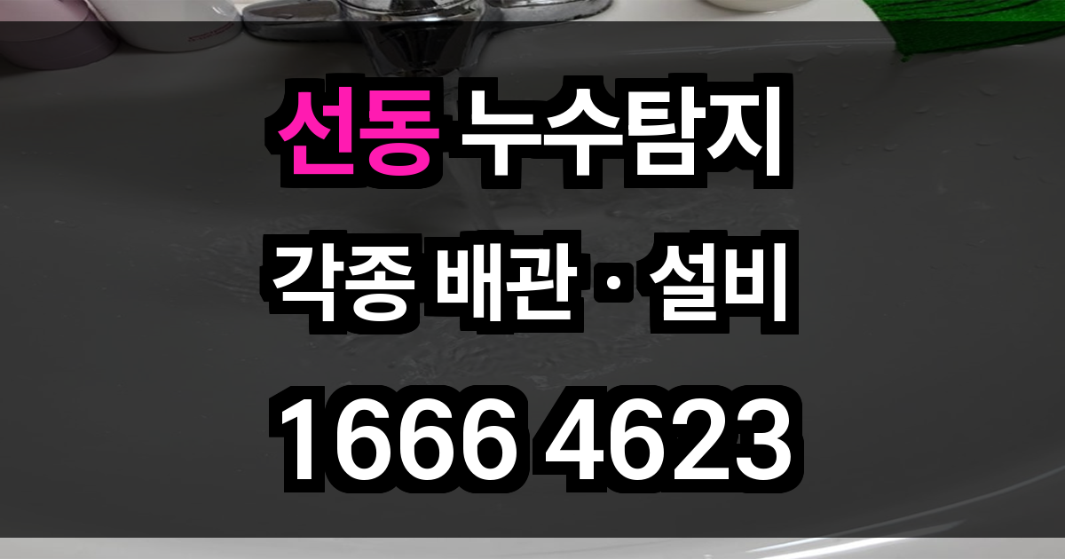 선동 누수탐지