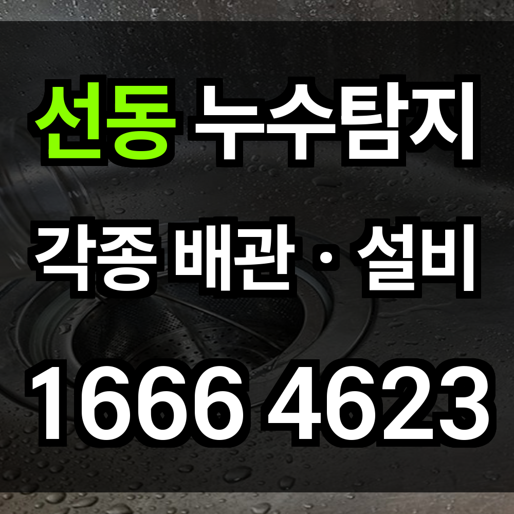 선동 누수탐지