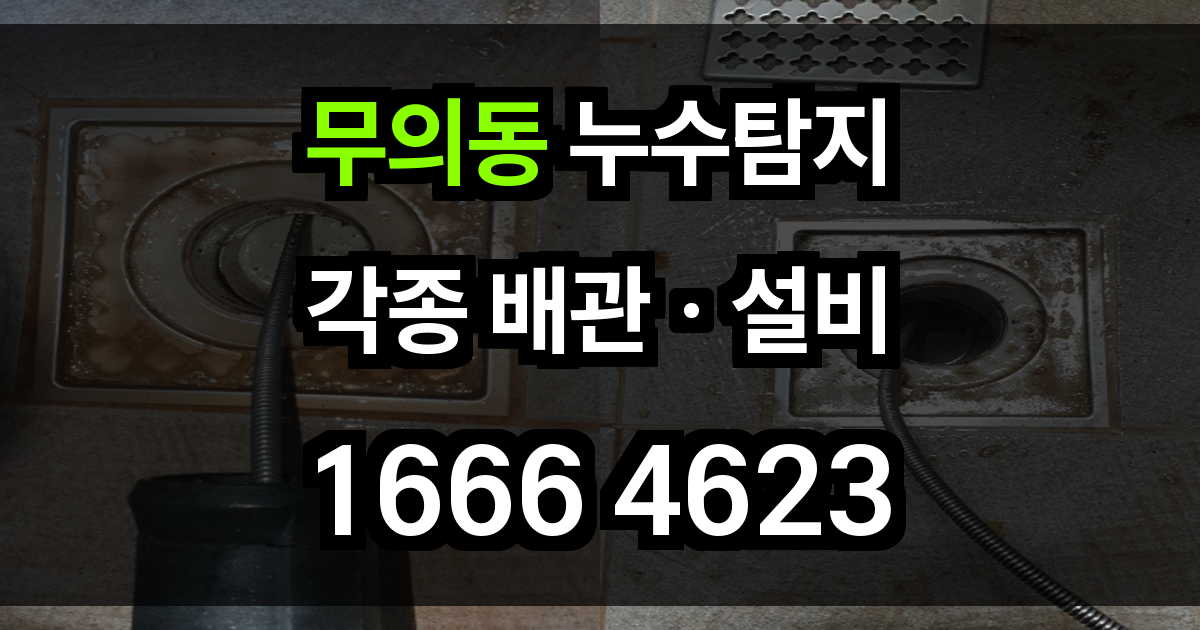 무의동 누수탐지