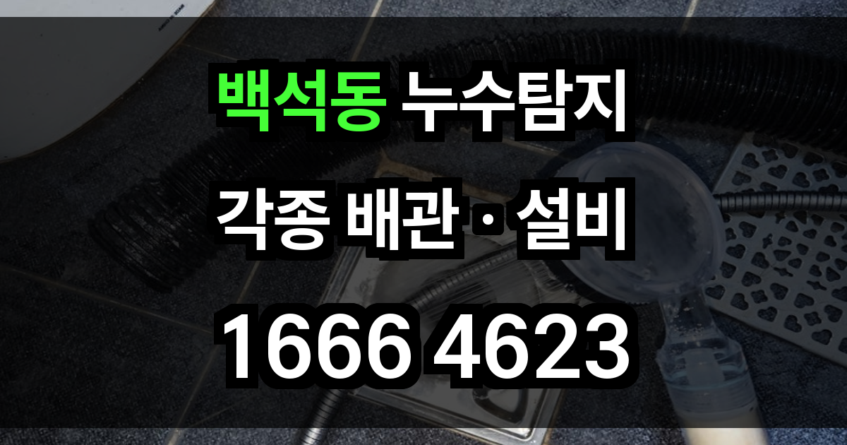 백석동 누수탐지