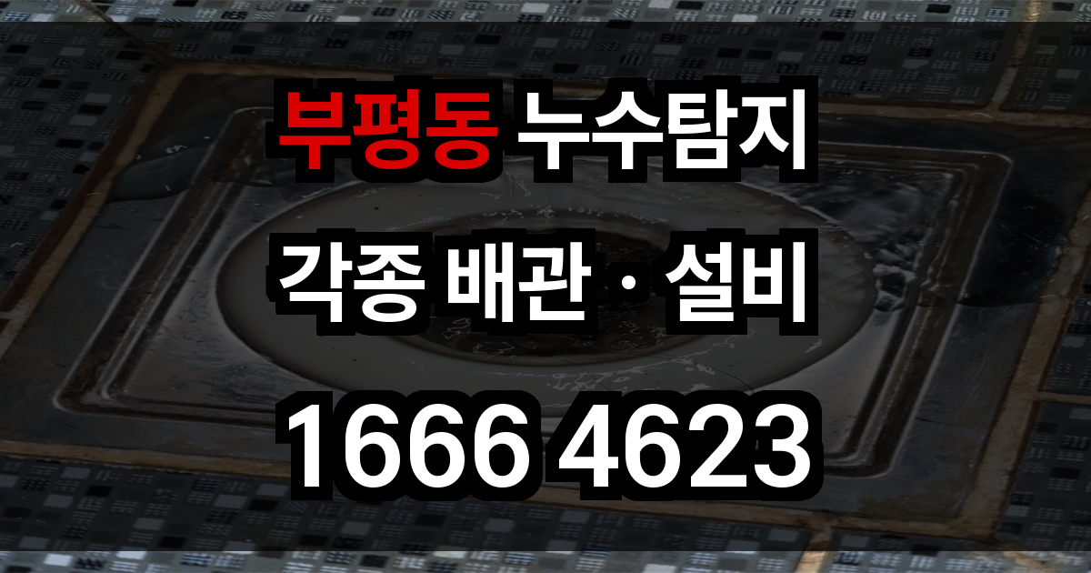 부평동 누수탐지