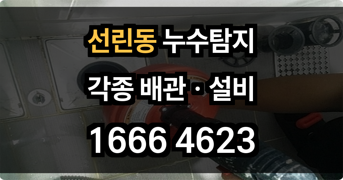 선린동 누수탐지
