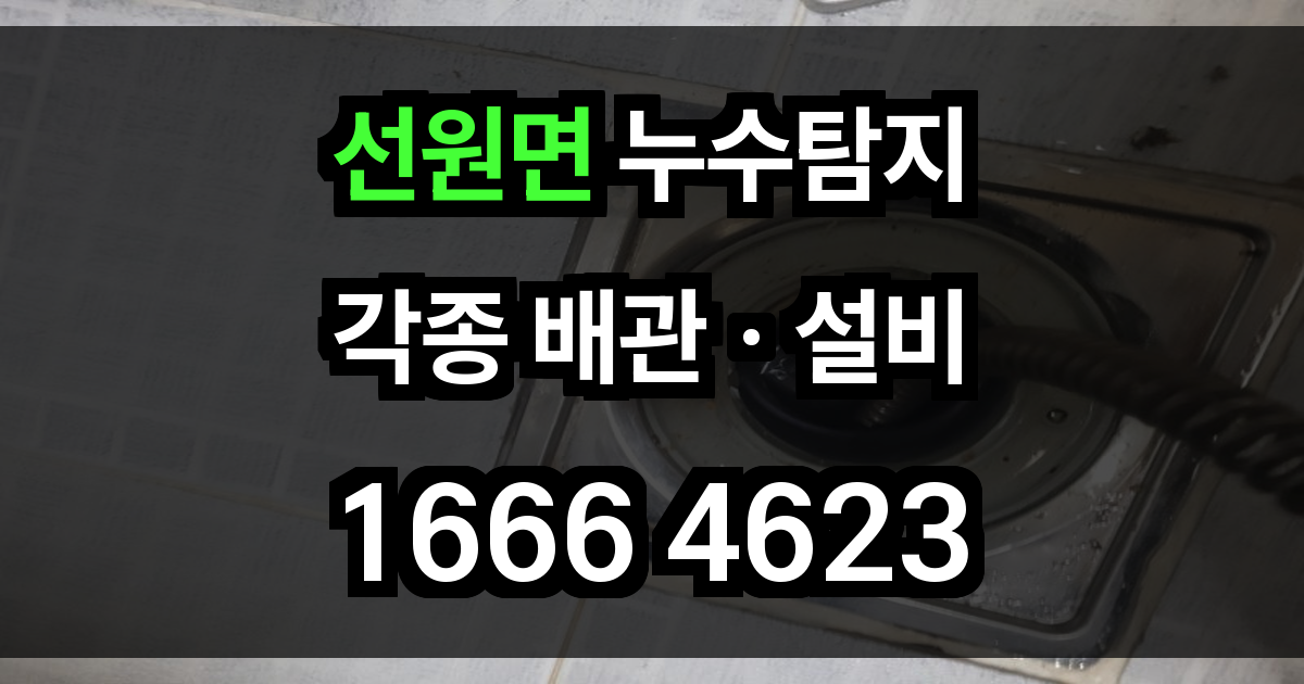 선원면 누수탐지