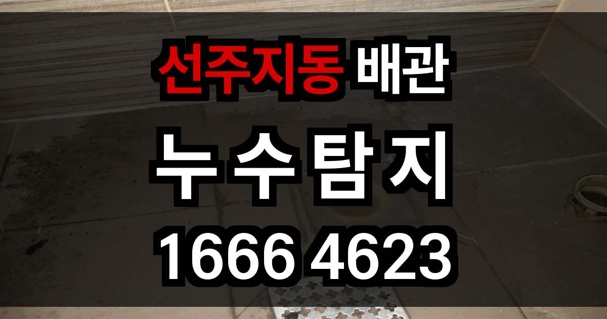 선주지동 누수탐지