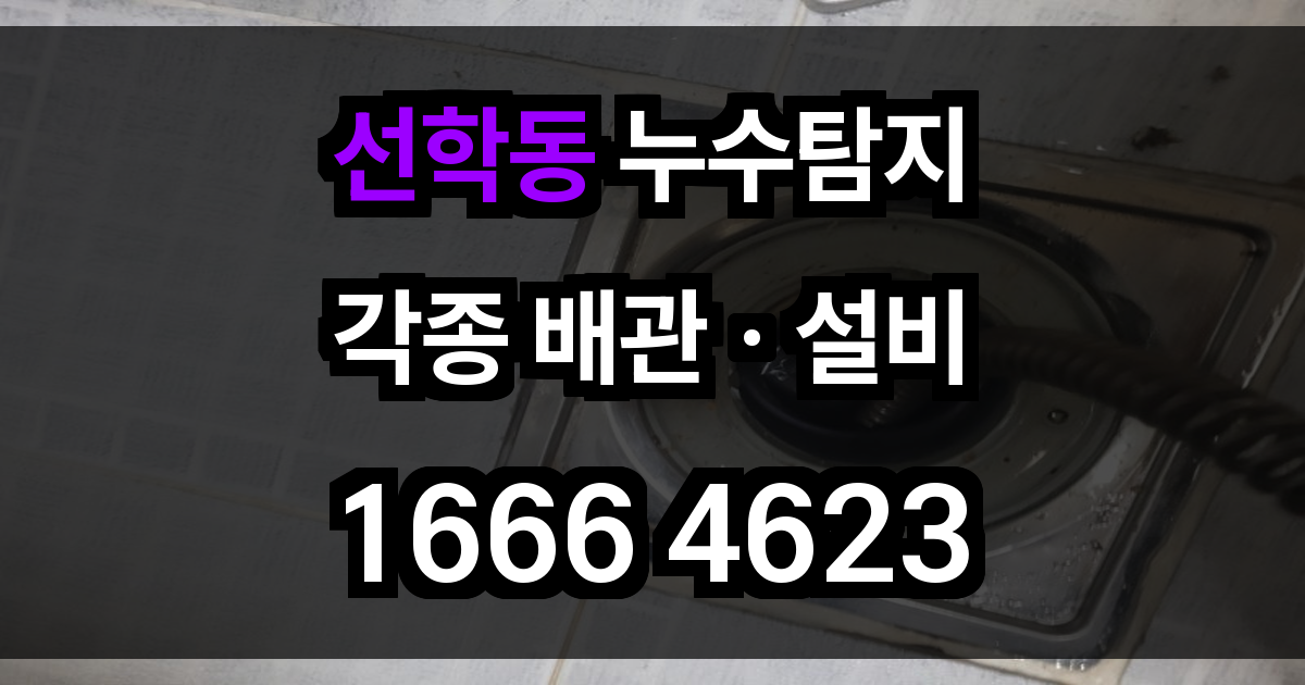 선학동 누수탐지