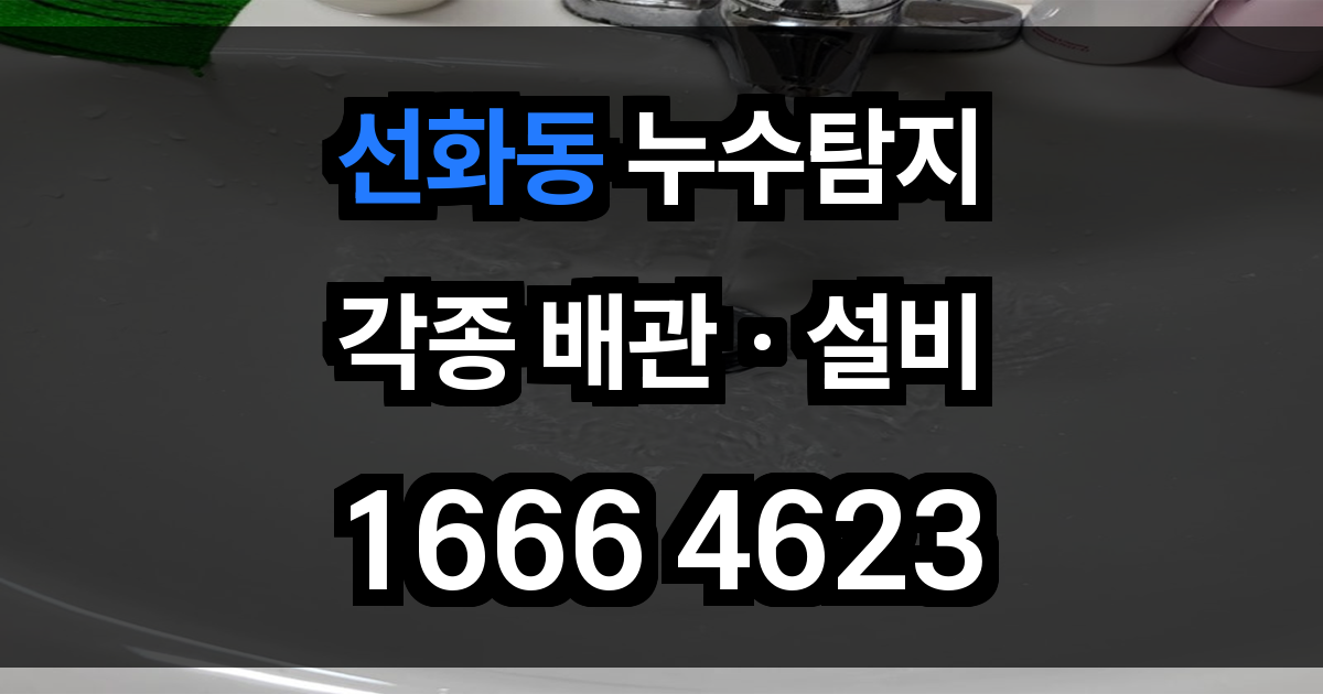 선화동 누수탐지