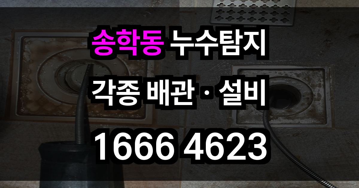 송학동 누수탐지