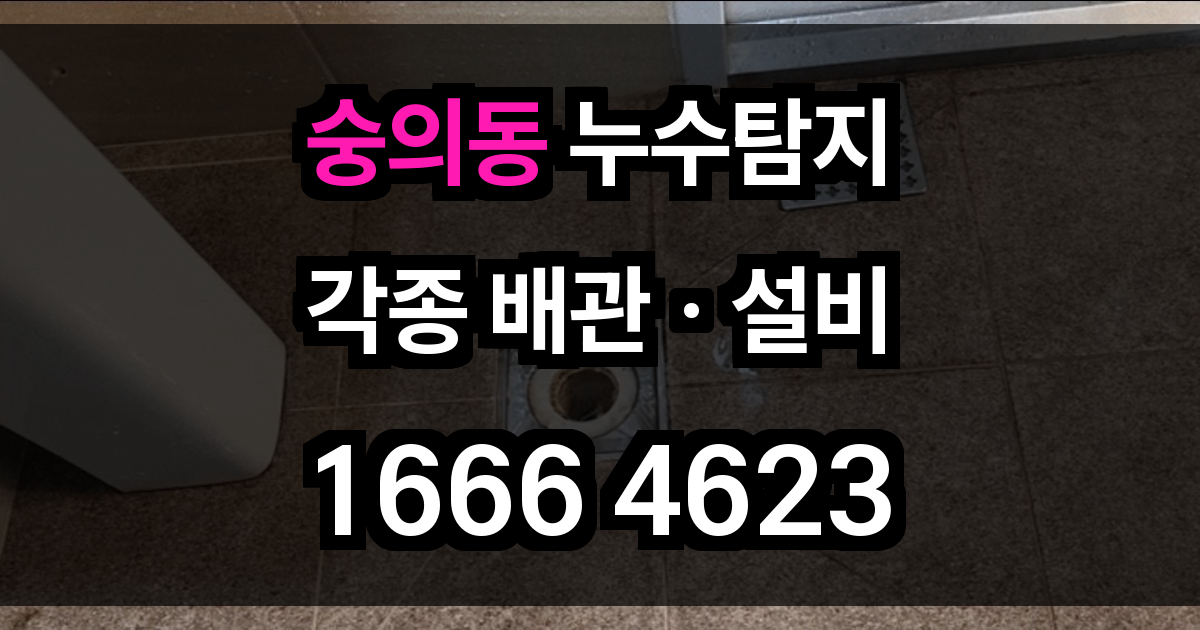 숭의동 누수탐지
