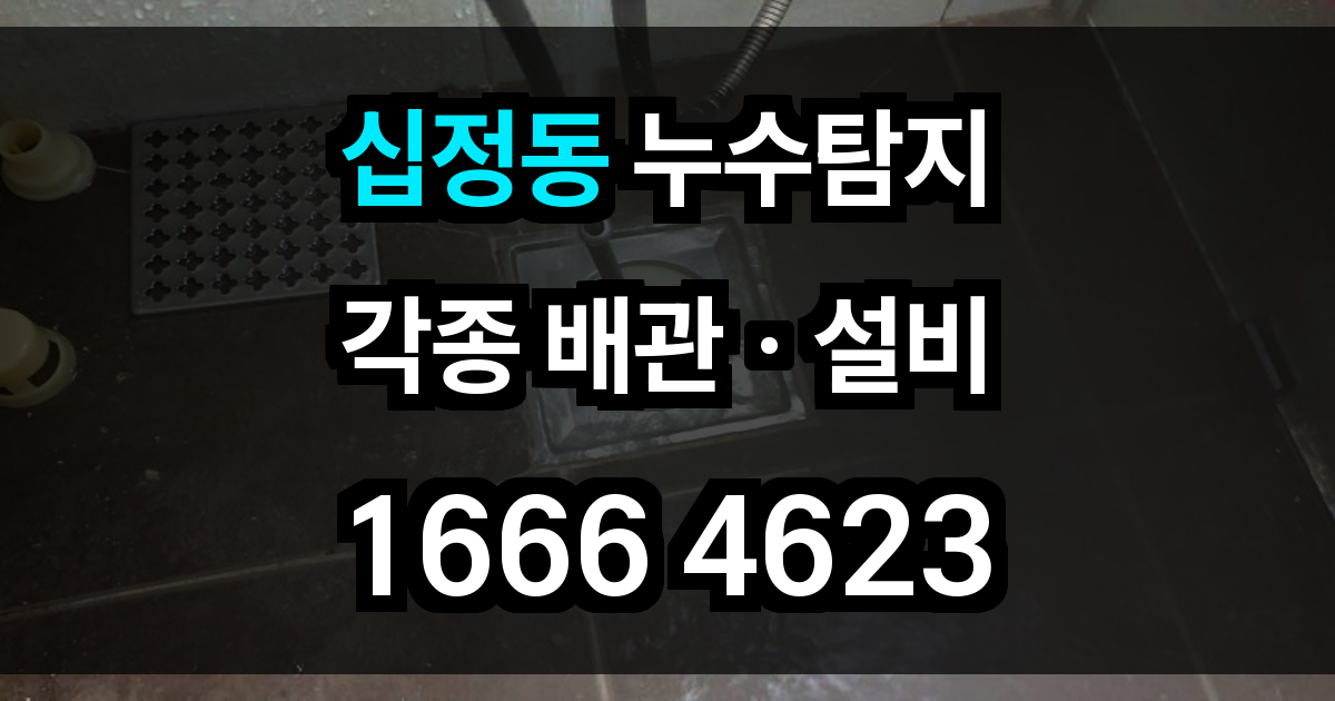 십정동 누수탐지