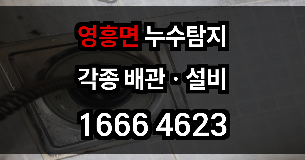 영흥면 누수탐지