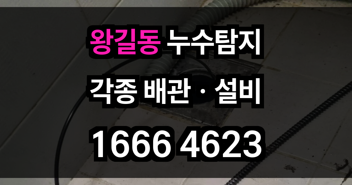 왕길동 누수탐지