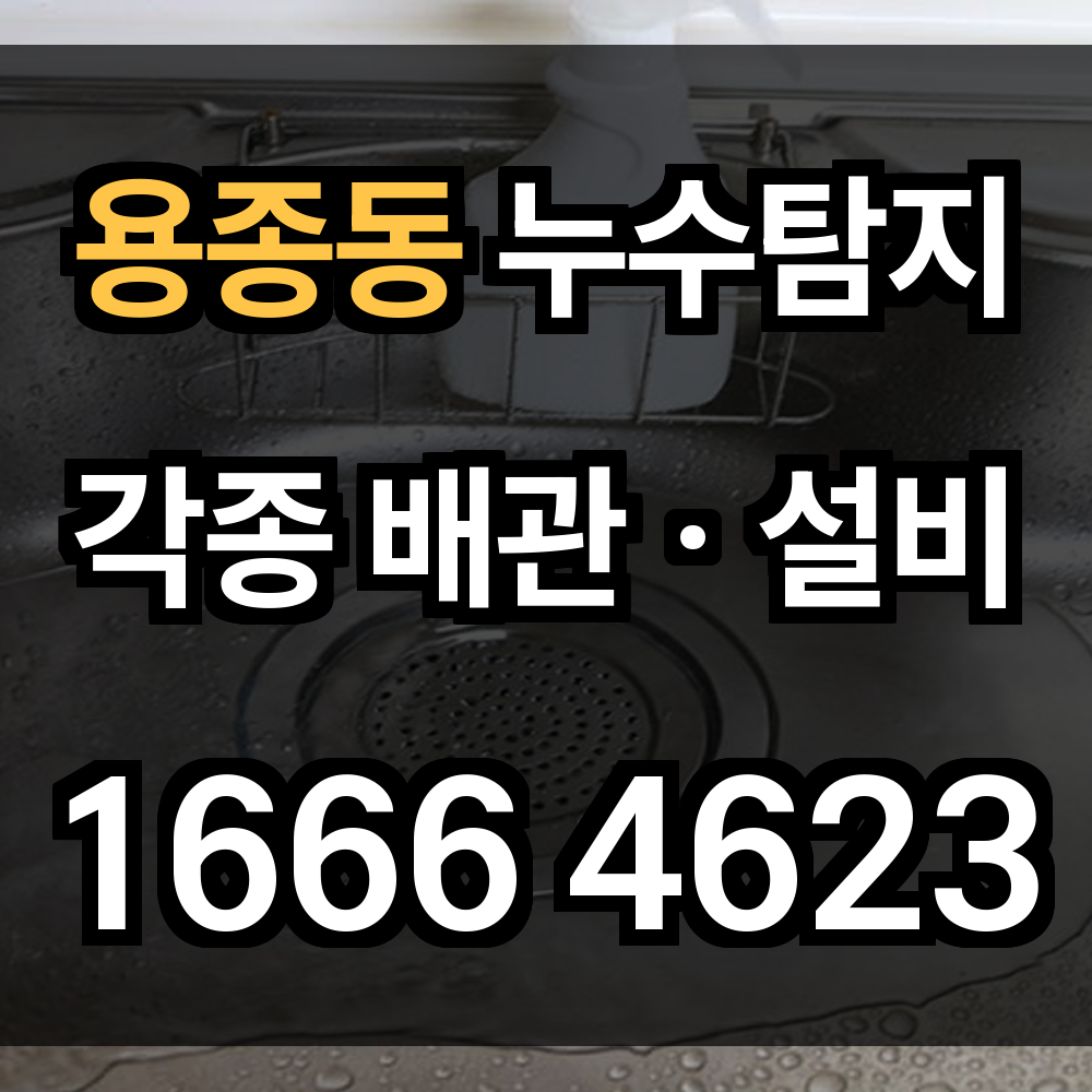 용종동 누수탐지