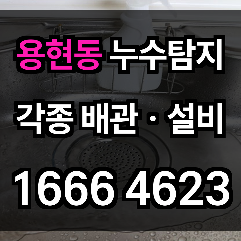 용현동 누수탐지