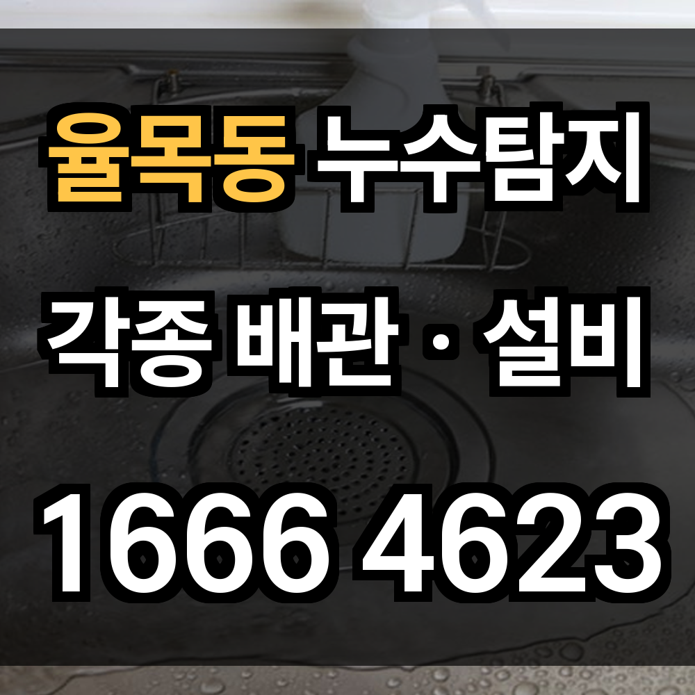 율목동 누수탐지