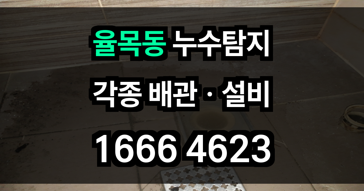 율목동 누수탐지