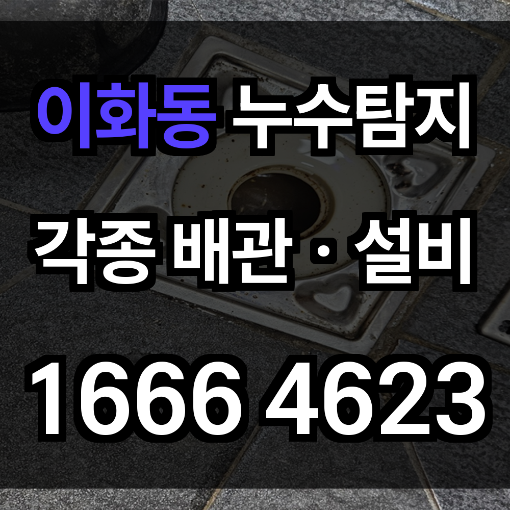 이화동 누수탐지