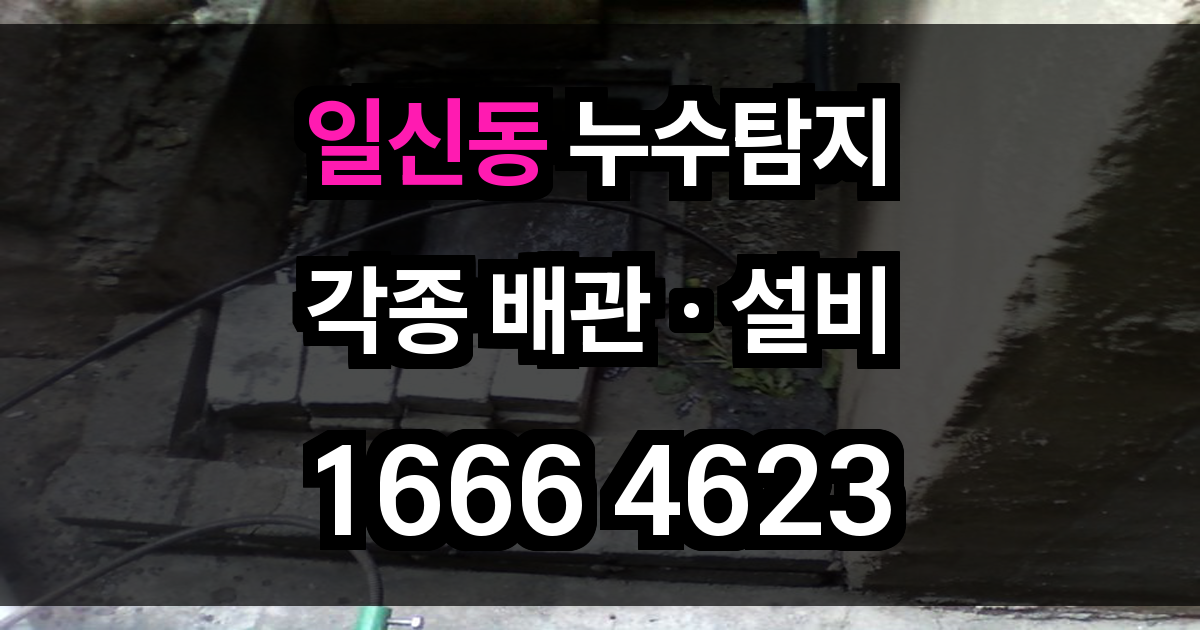 일신동 누수탐지