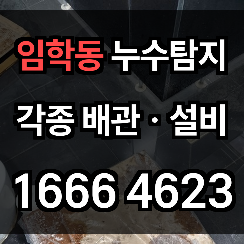 임학동 누수탐지