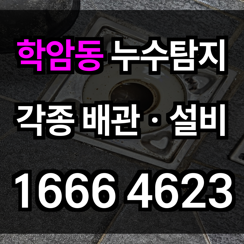 학암동 누수탐지